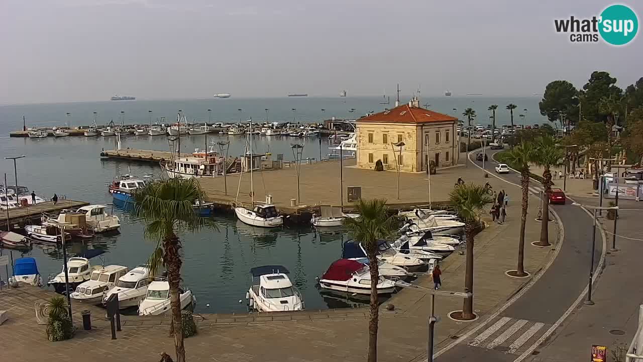 Webcam Capodistria – Piazza Ukmar