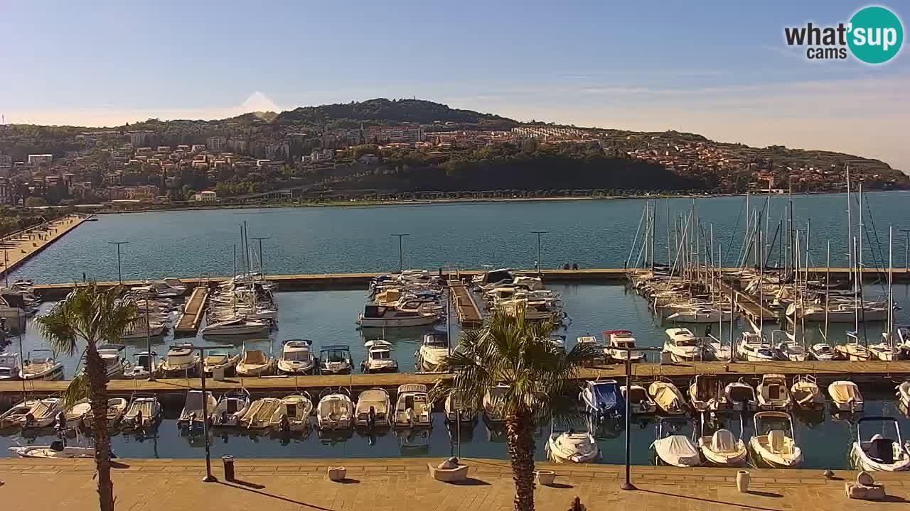 Webcam Koper – Panorama des Jachthafens und der Promenade vom Hotel Grand Koper