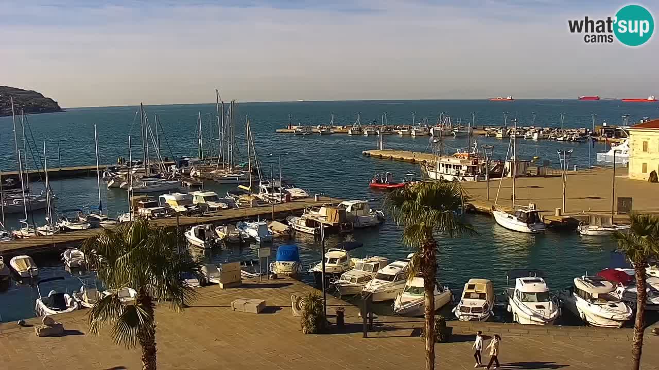 The Port of Koper live webcam – cruise and cargo port – Slovenia