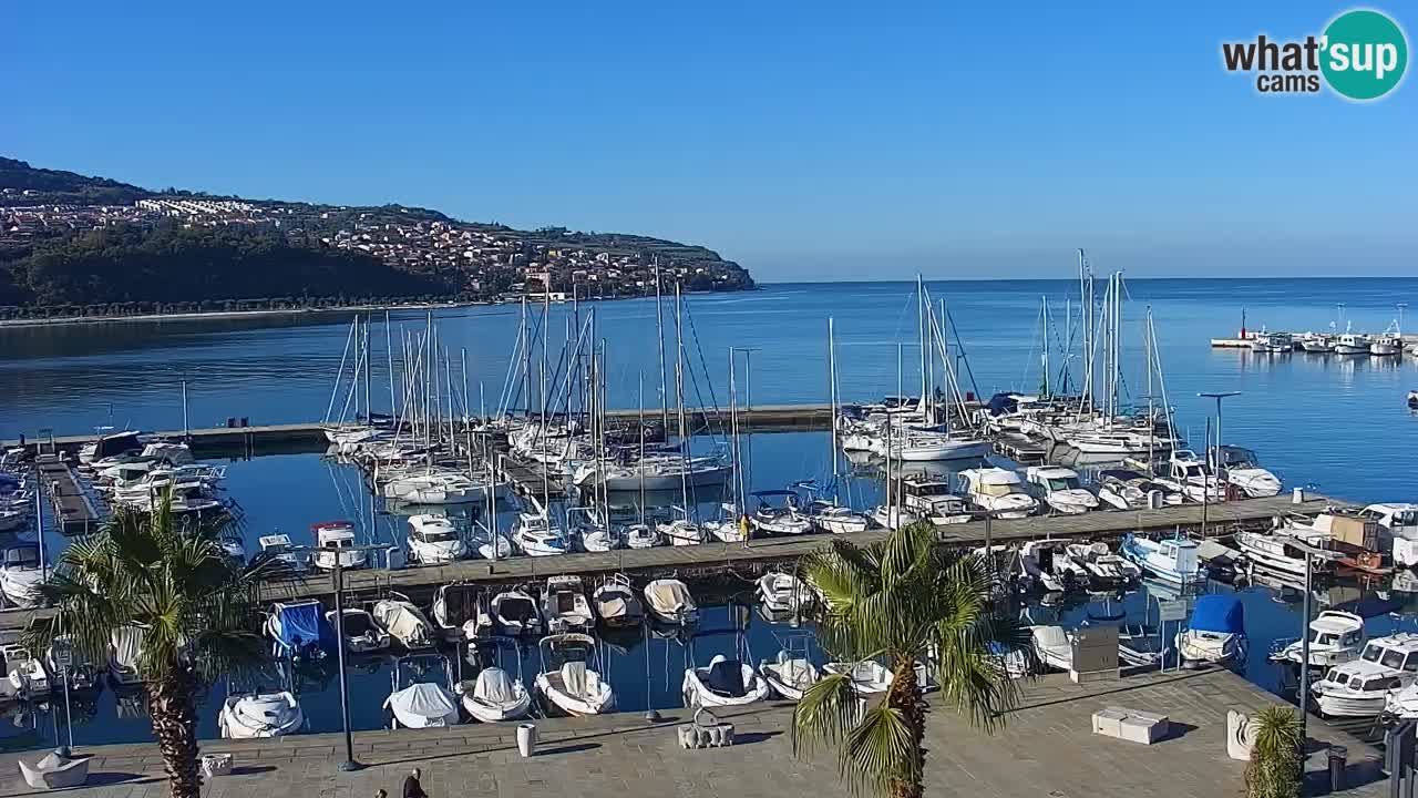 Il porto di Koper – Capodistria live webcam – porto crociere e mercantile – Slovenia