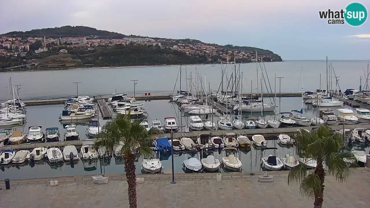 Spletna kamera Luka Koper v živo – Potniški terminal in tovorno pristanišče – Slovenija