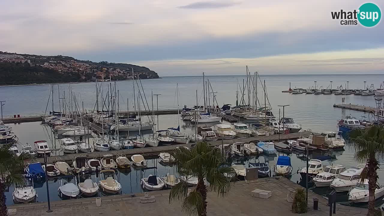 Spletna kamera Koper – Panorama na marino in promenado s Hotela Grand Koper