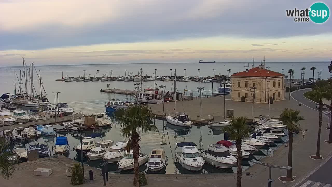 Spletna kamera Koper – Panorama na marino in promenado s Hotela Grand Koper