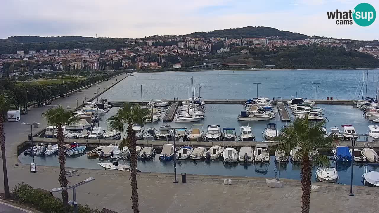 Spletna kamera Koper – Panorama na marino in promenado s Hotela Grand Koper