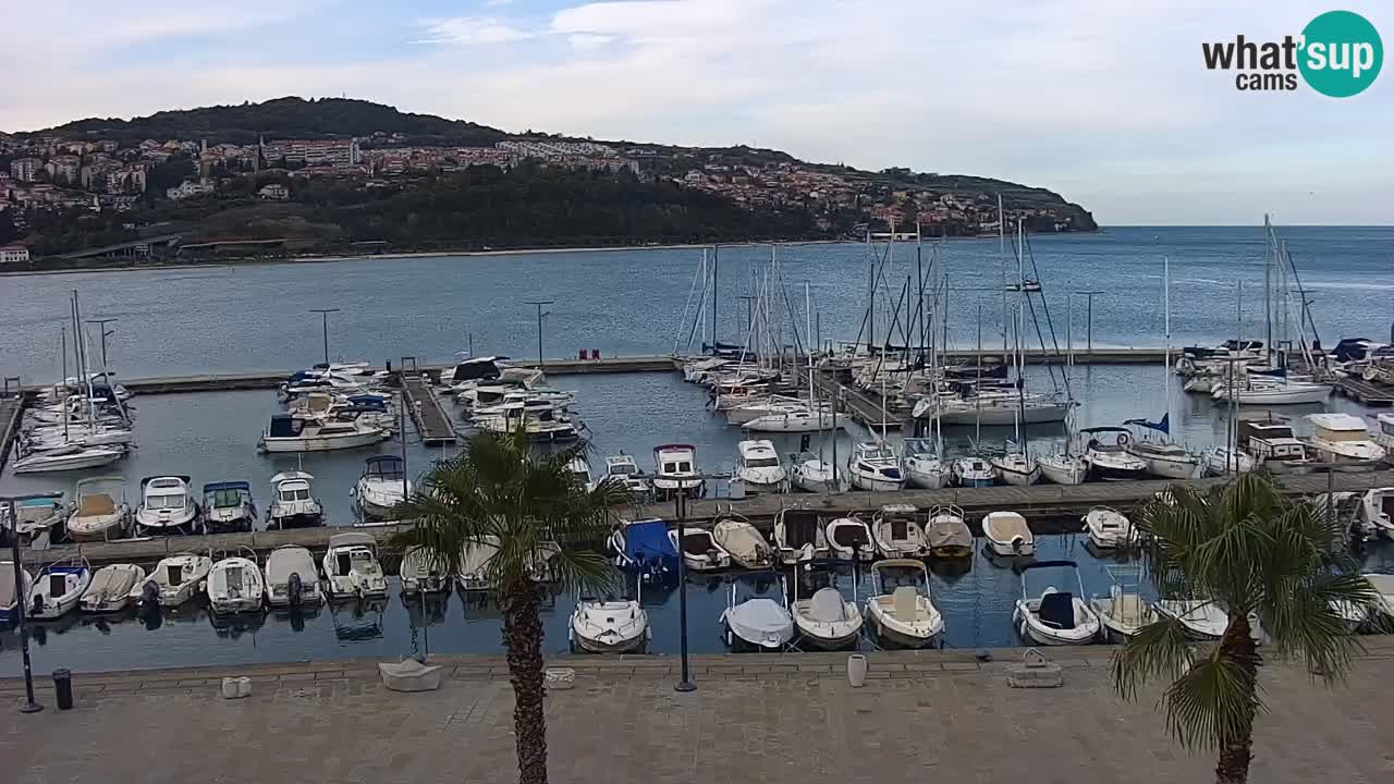 Camera en vivo Koper – puerto deportivo y paseo marítimo desde el Hotel Grand Koper