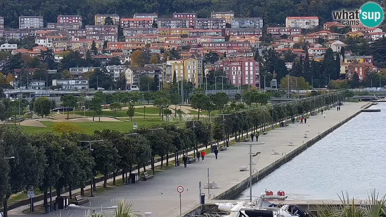 Luka Kopar uživo web kamera – Turistički terminal i teretna luka – Slovenija