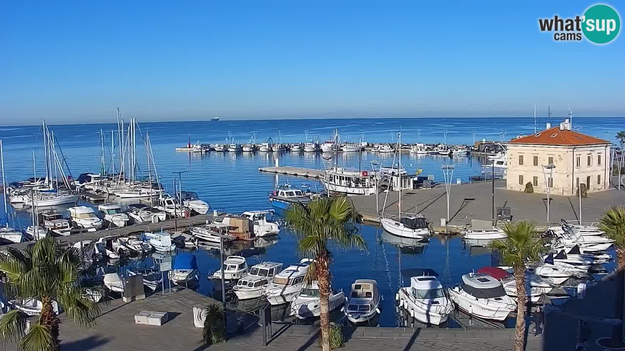 Spletna kamera Koper – Panorama na marino in promenado s Hotela Grand Koper