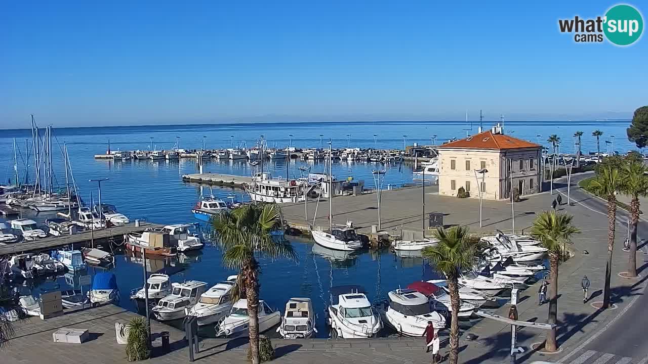 Il porto di Koper – Capodistria live webcam – porto crociere e mercantile – Slovenia