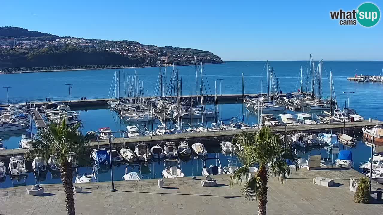 Webcam Koper – Panorama of the marina and promenade from the Grand Hotel Koper