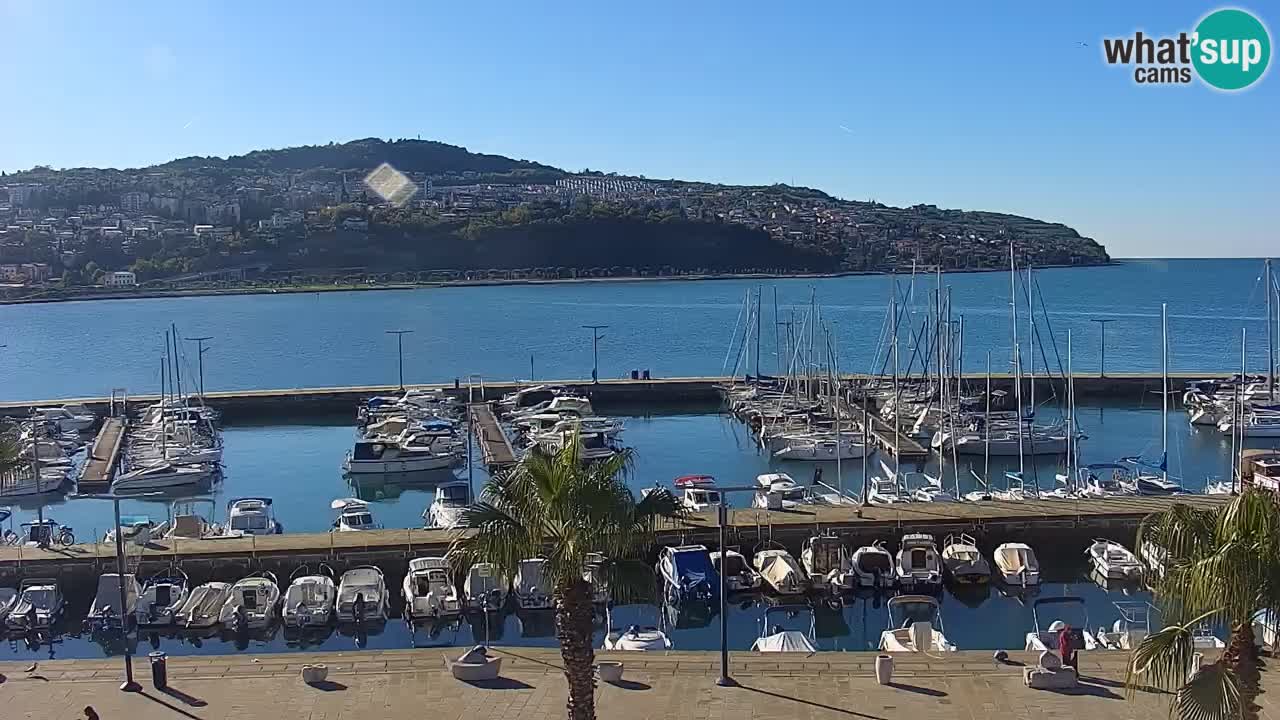 The Port of Koper live webcam – cruise and cargo port – Slovenia