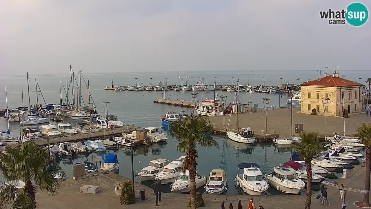 The Port of Koper live webcam – cruise and cargo port – Slovenia