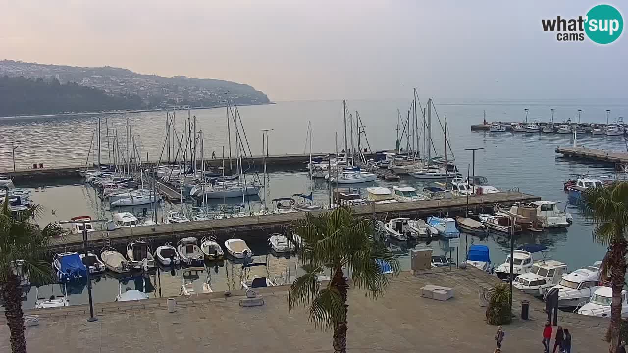 Spletna kamera Koper – Panorama na marino in promenado s Hotela Grand Koper