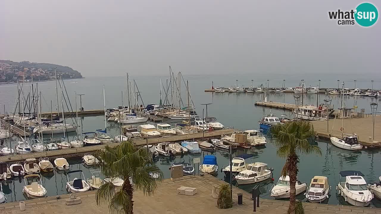 Webcam Capodistria – Piazza Ukmar