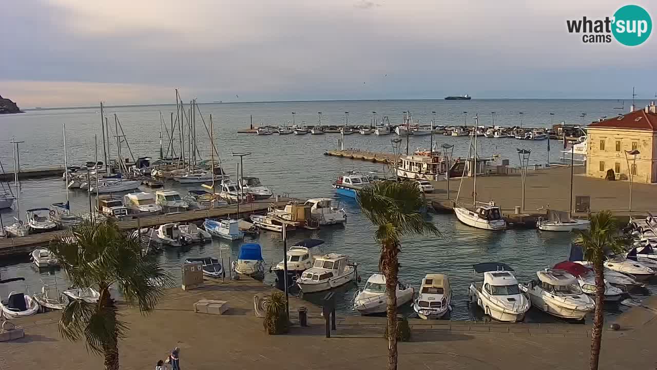 Webcam Koper – Panorama des Jachthafens und der Promenade vom Hotel Grand Koper