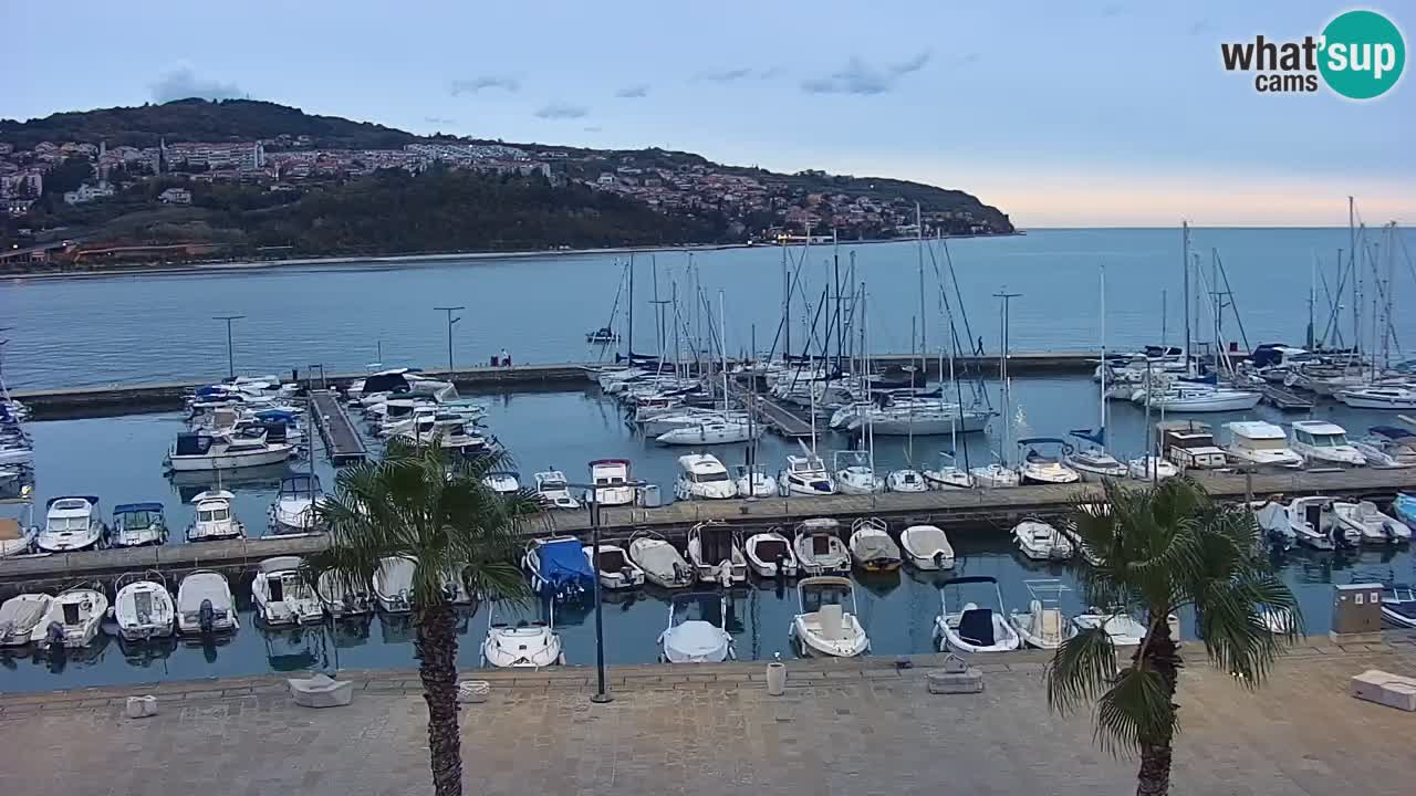 Webcam Koper – Panorama des Jachthafens und der Promenade vom Hotel Grand Koper