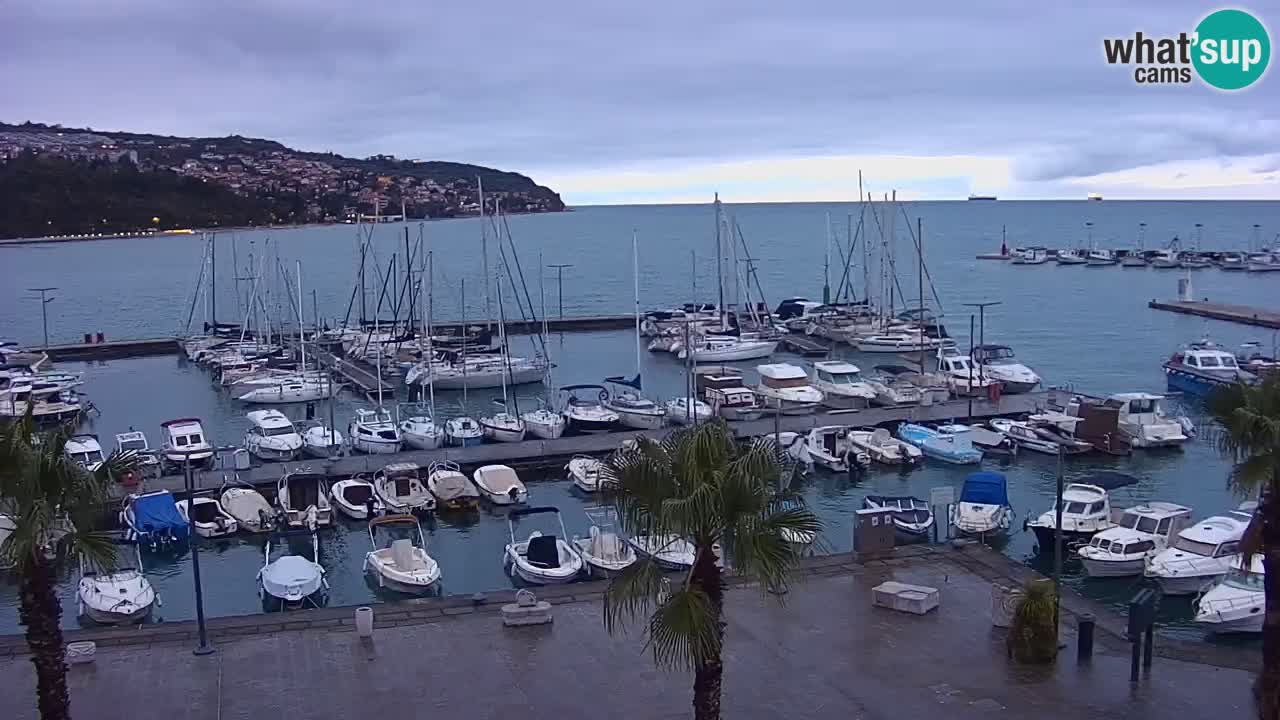 Camera en vivo Koper – puerto deportivo y paseo marítimo desde el Hotel Grand Koper