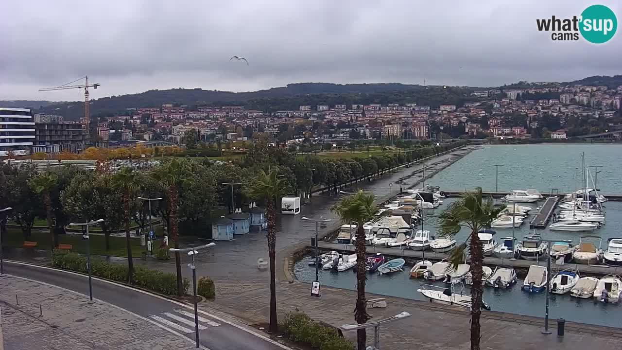 Camera en Vivo Koper – Ukmarjev trg