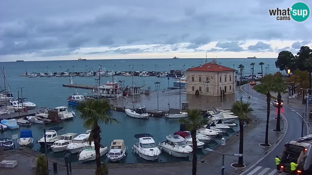 Spletna kamera Koper – Panorama na marino in promenado s Hotela Grand Koper