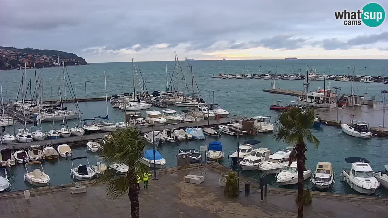 Der Hafen von Koper Live-Webcam – Kreuzfahrt- und Frachthafen – Slowenien