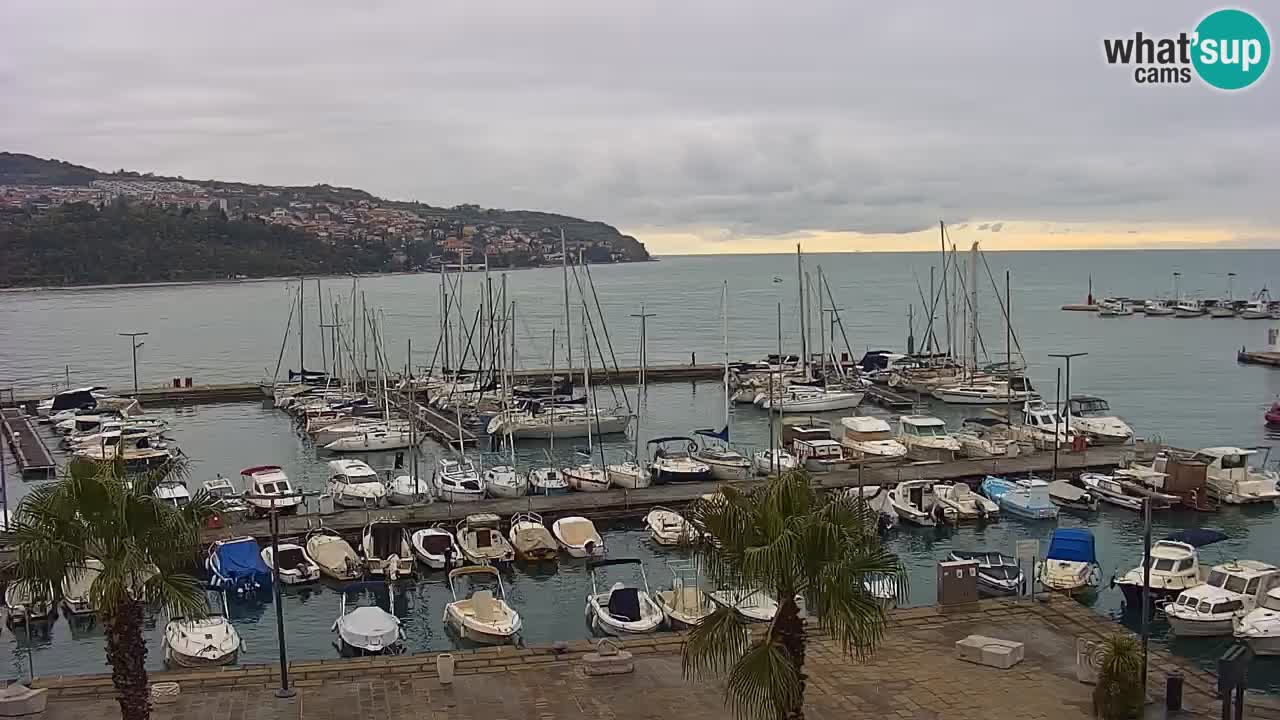 Camera en vivo Koper – puerto deportivo y paseo marítimo desde el Hotel Grand Koper