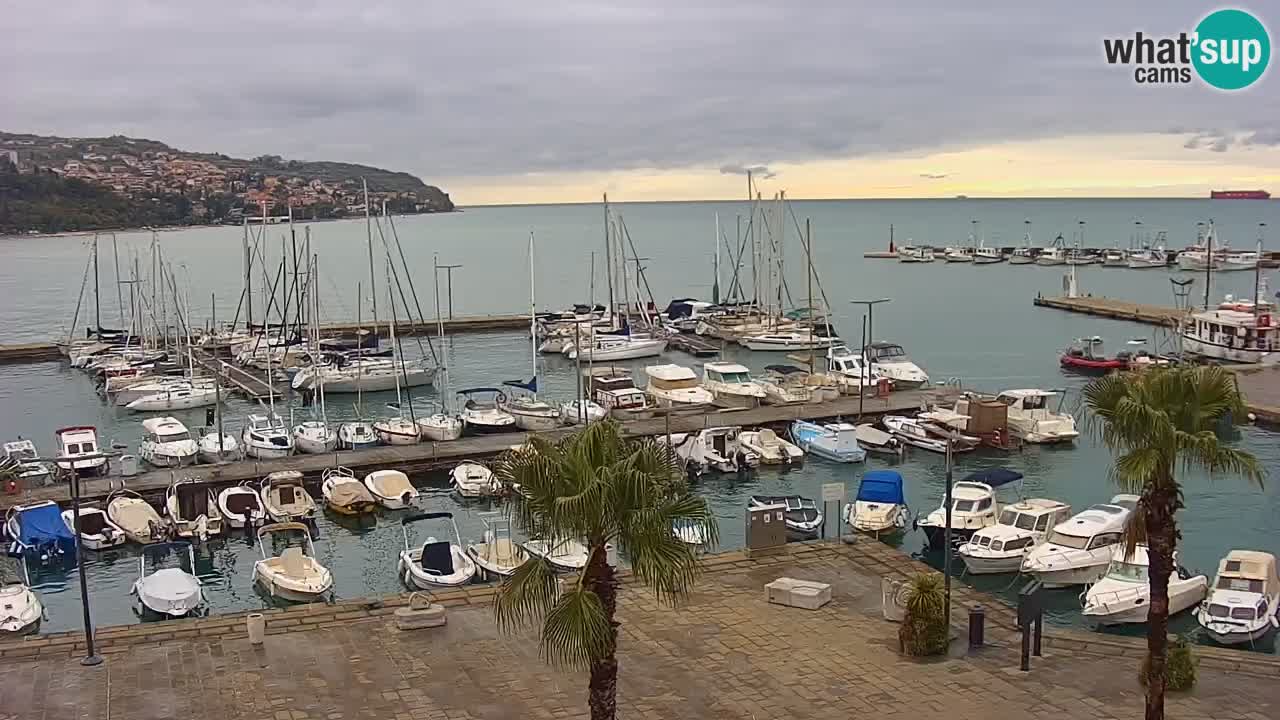 Camera en vivo Koper – puerto deportivo y paseo marítimo desde el Hotel Grand Koper