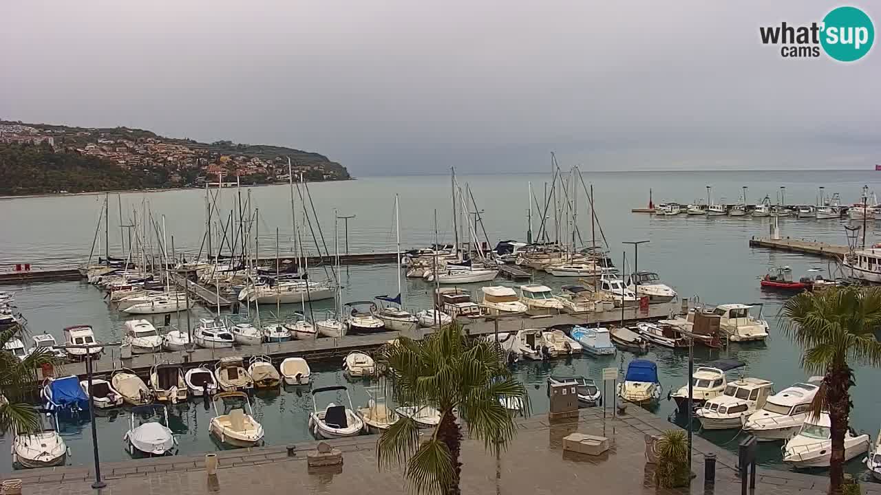 Spletna kamera Koper – Panorama na marino in promenado s Hotela Grand Koper