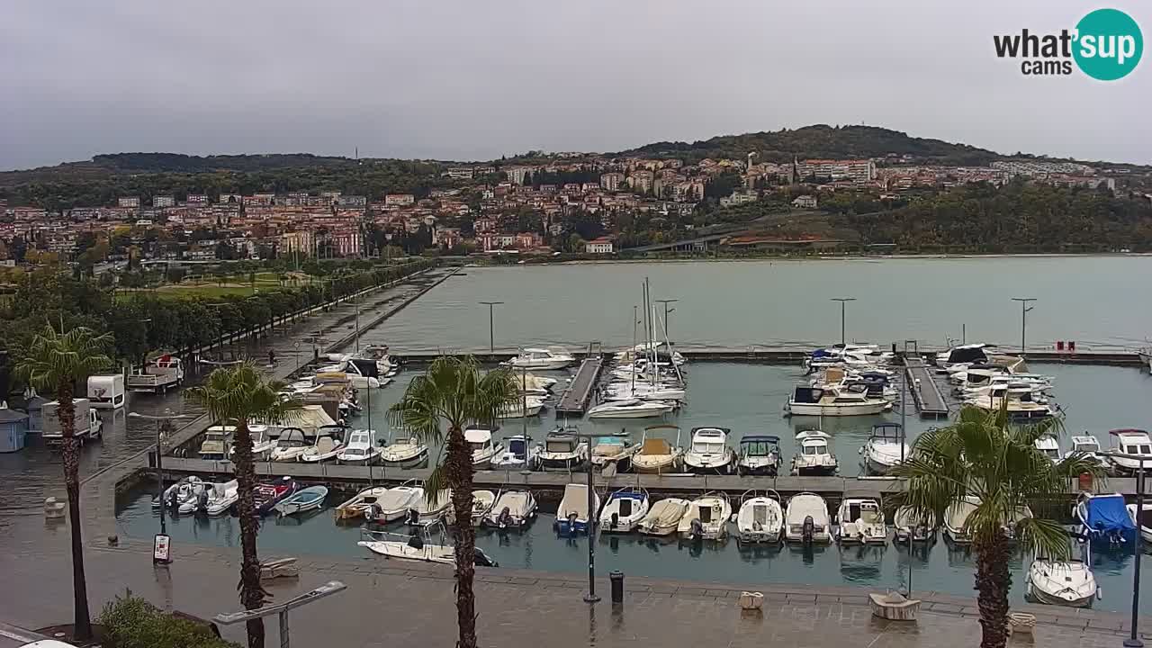 Der Hafen von Koper Live-Webcam – Kreuzfahrt- und Frachthafen – Slowenien