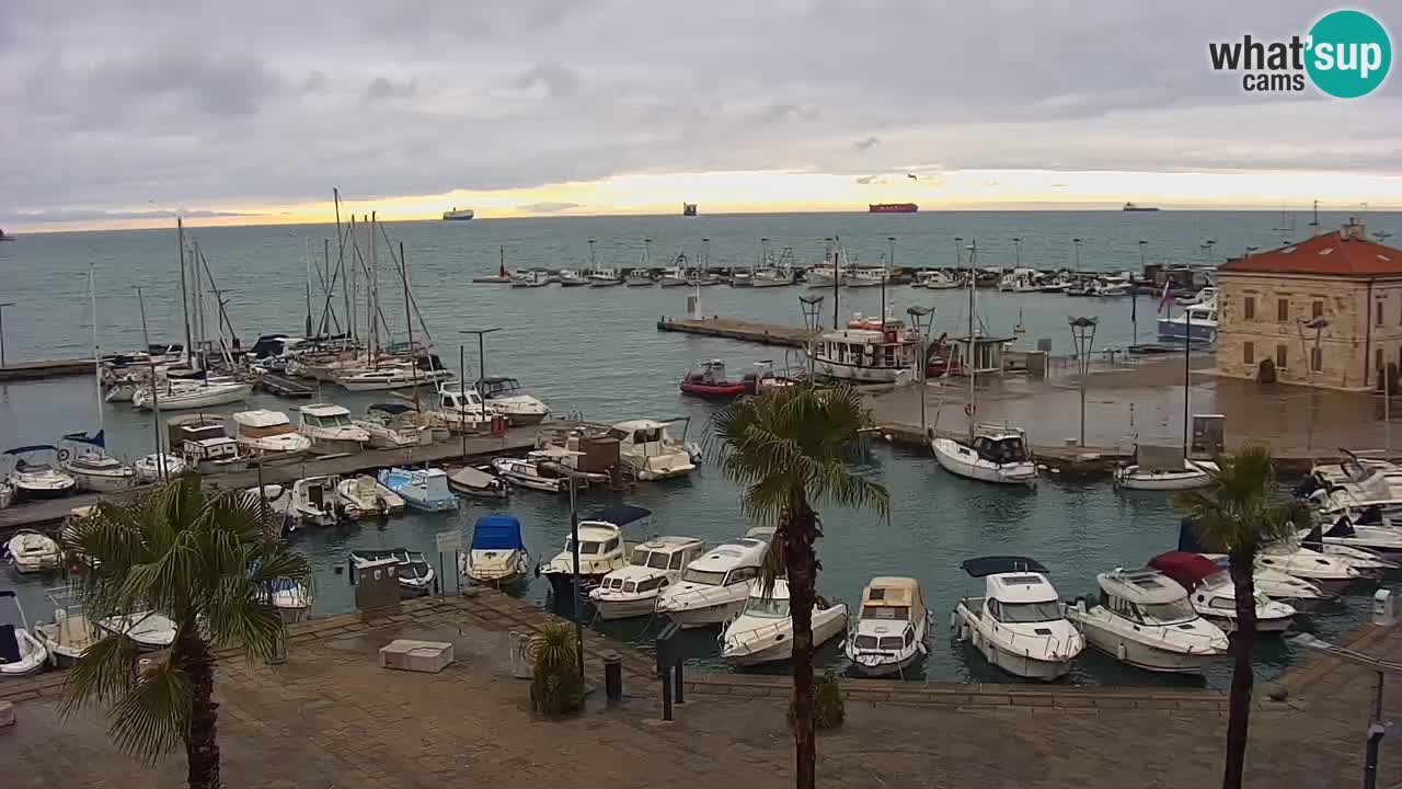 Camera en vivo Koper – puerto deportivo y paseo marítimo desde el Hotel Grand Koper