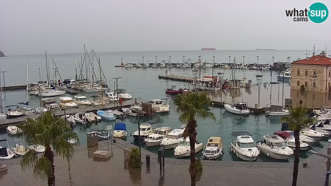 Webcam Capodistria – Piazza Ukmar