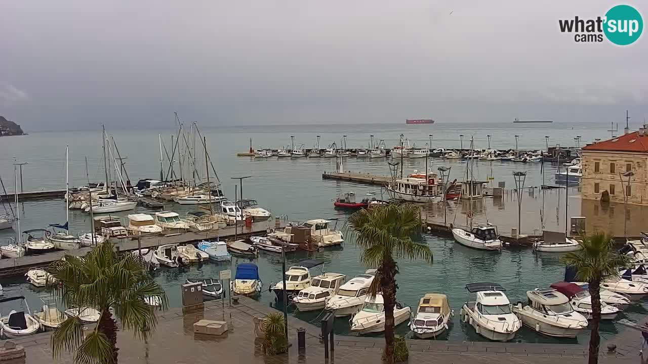 Spletna kamera Koper – Panorama na marino in promenado s Hotela Grand Koper