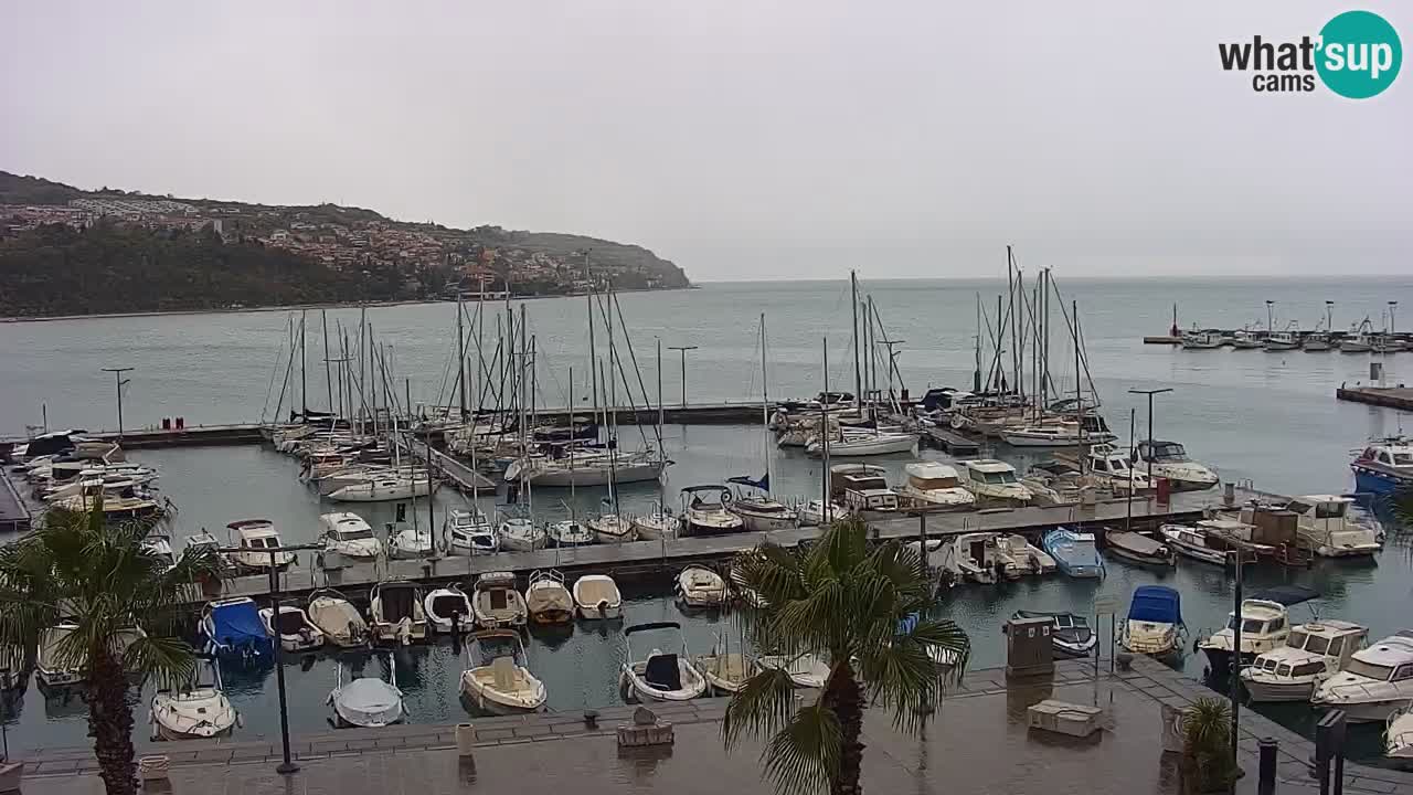 Der Hafen von Koper Live-Webcam – Kreuzfahrt- und Frachthafen – Slowenien