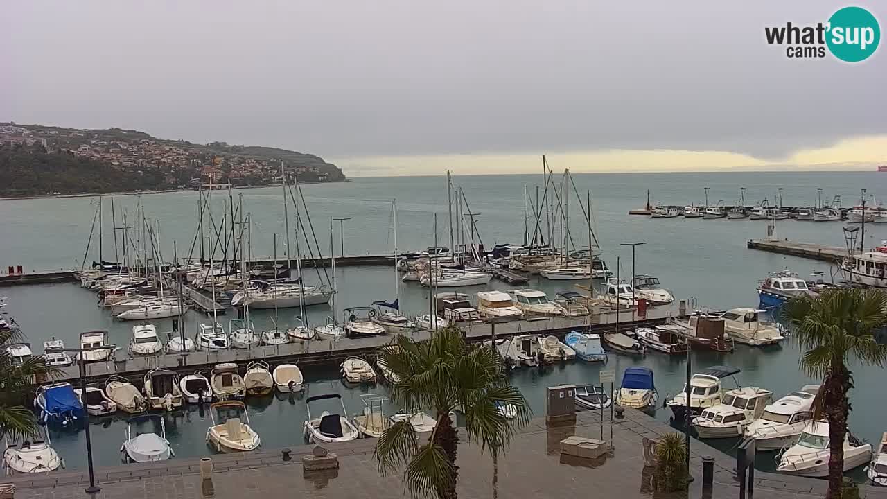 Webcam Koper – Panorama des Jachthafens und der Promenade vom Hotel Grand Koper