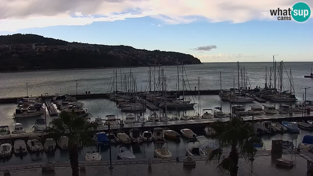 Spletna kamera Luka Koper v živo – Potniški terminal in tovorno pristanišče – Slovenija