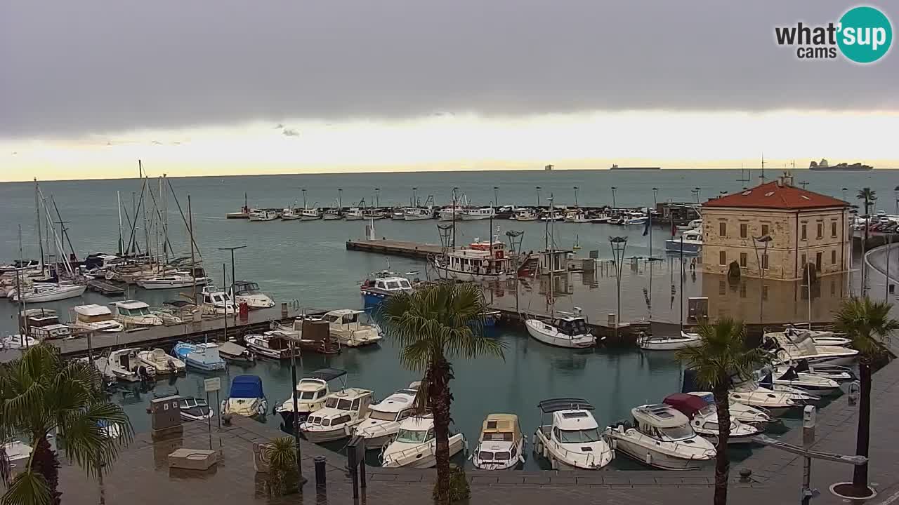 Camera en vivo Koper – puerto deportivo y paseo marítimo desde el Hotel Grand Koper