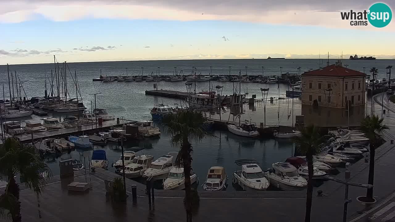 Il porto di Koper – Capodistria live webcam – porto crociere e mercantile – Slovenia