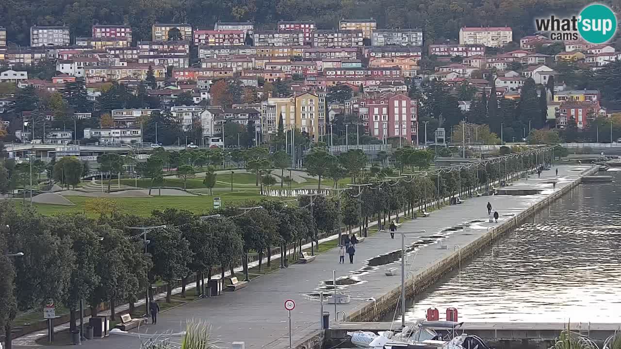 Der Hafen von Koper Live-Webcam – Kreuzfahrt- und Frachthafen – Slowenien