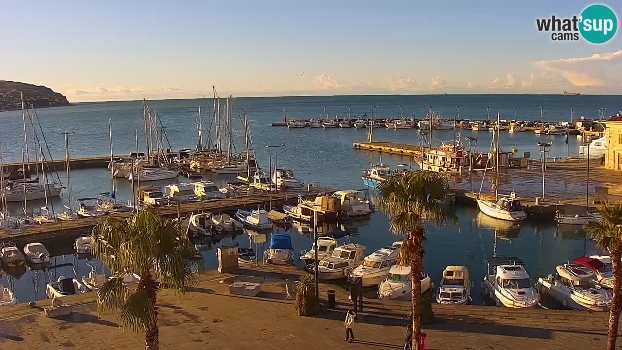 Der Hafen von Koper Live-Webcam – Kreuzfahrt- und Frachthafen – Slowenien