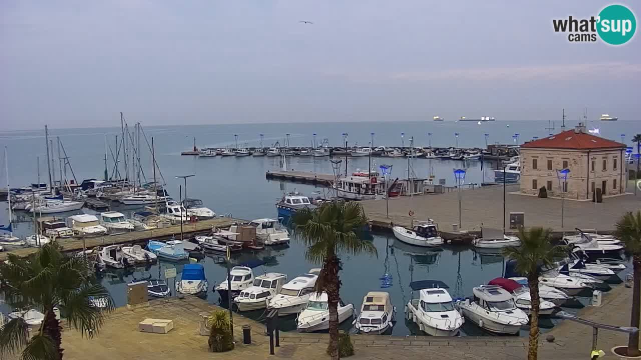 Der Hafen von Koper Live-Webcam – Kreuzfahrt- und Frachthafen – Slowenien