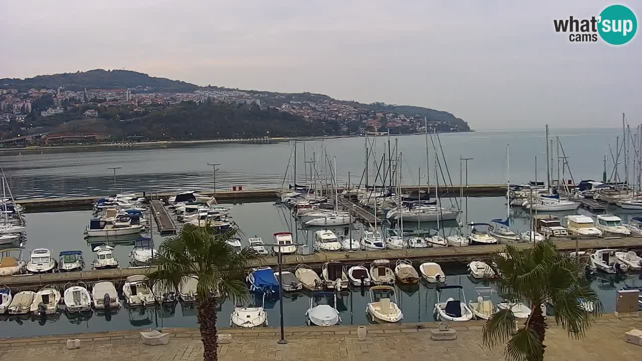 Webcam Capodistria – marina e lungo mare dall’Hotel Grand Koper