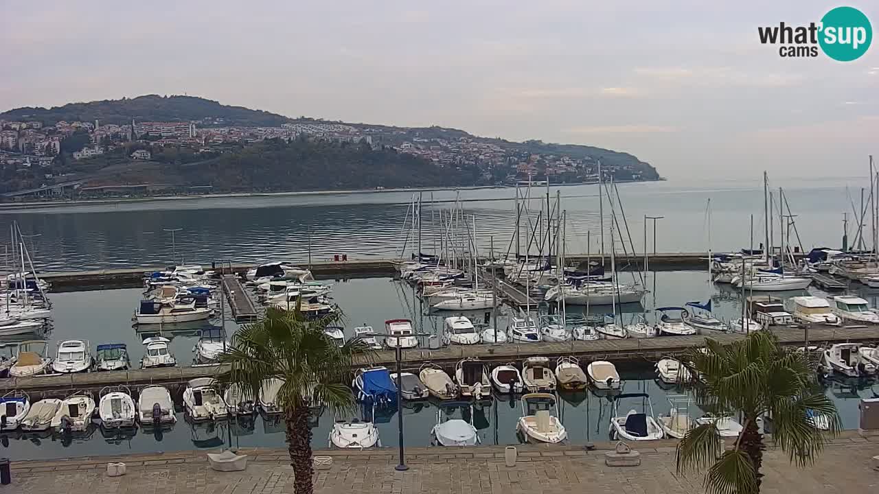 Spletna kamera Koper – Panorama na marino in promenado s Hotela Grand Koper