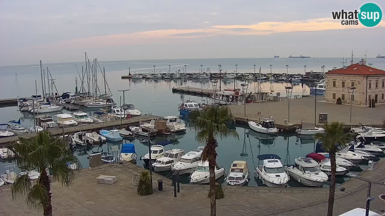 Spletna kamera Luka Koper v živo – Potniški terminal in tovorno pristanišče – Slovenija