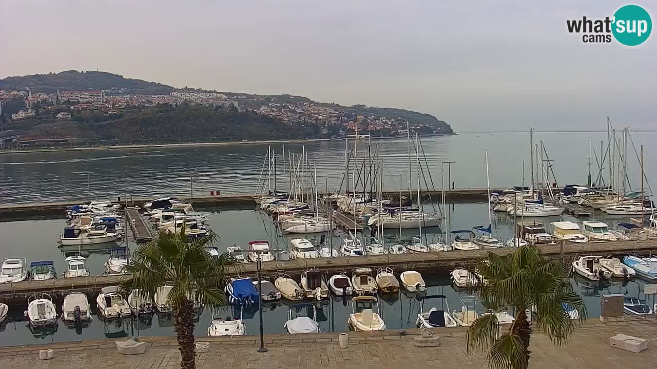 Web kamera Koper – marina i promenada – hotel Grand Koper