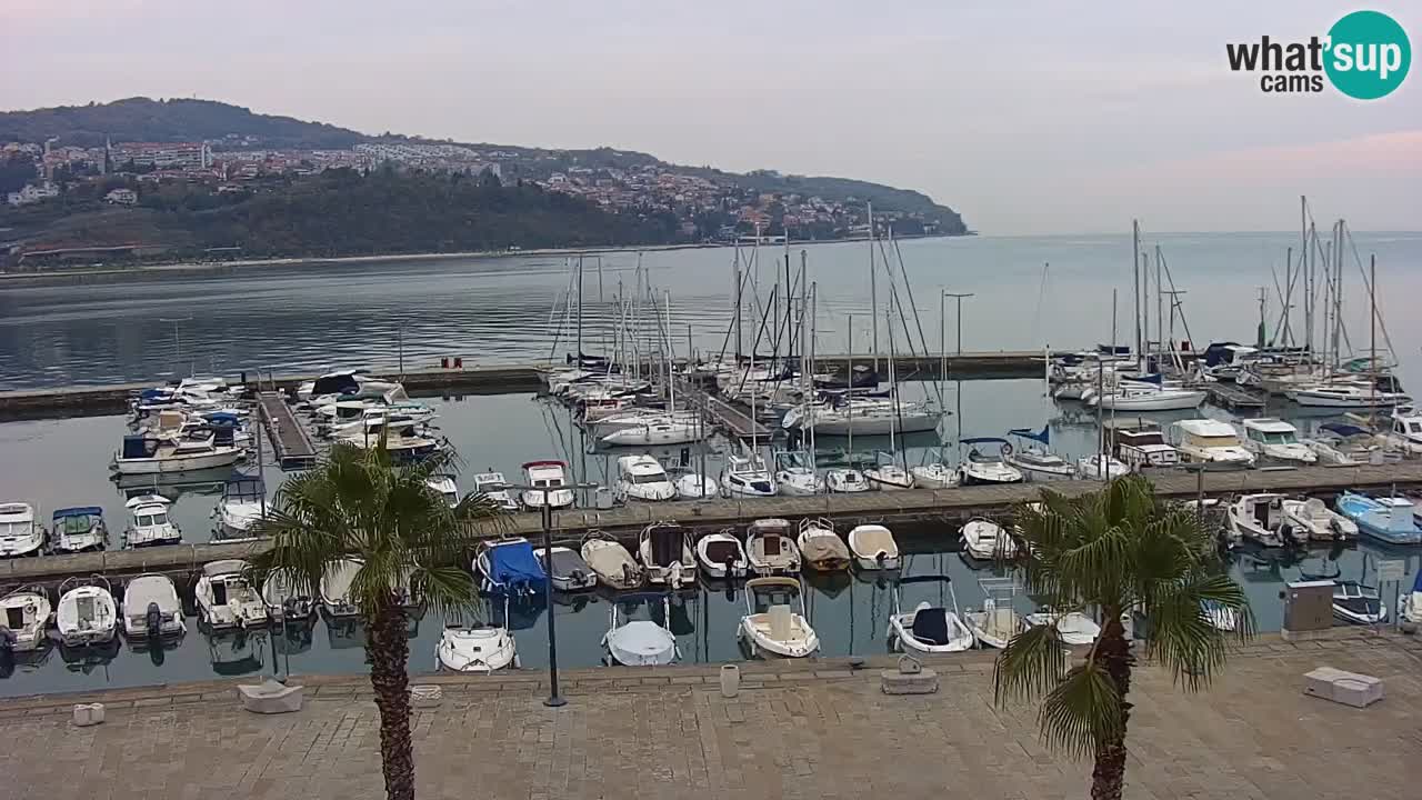 Camera en vivo Koper – puerto deportivo y paseo marítimo desde el Hotel Grand Koper