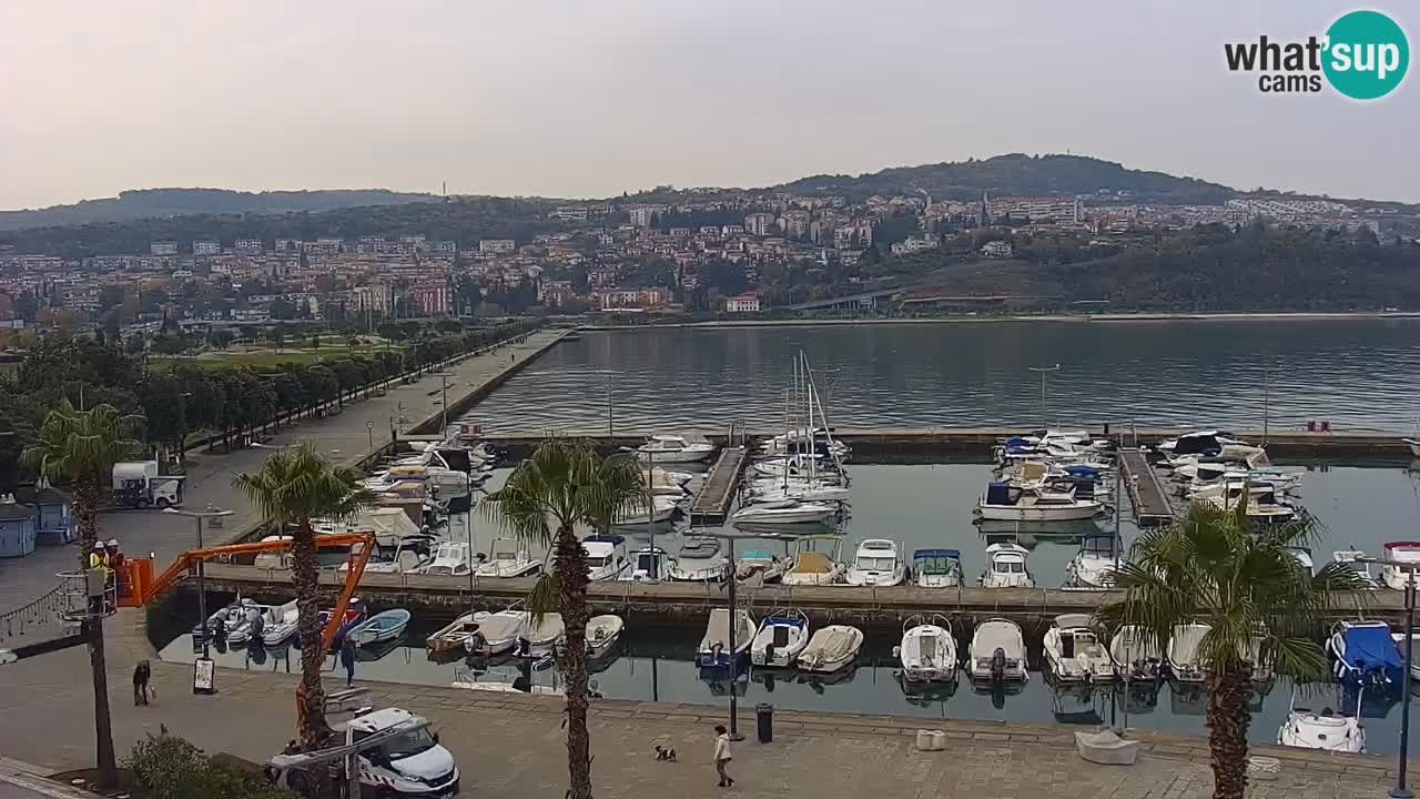 Der Hafen von Koper Live-Webcam – Kreuzfahrt- und Frachthafen – Slowenien