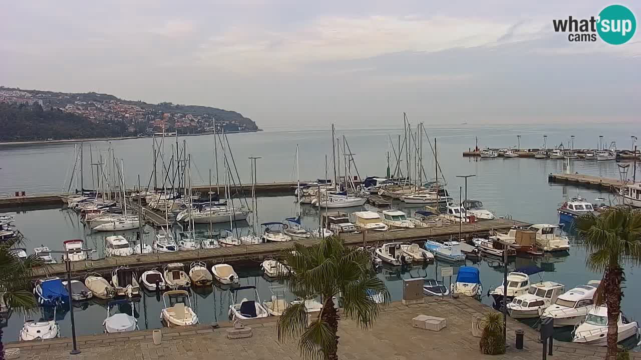 Il porto di Koper – Capodistria live webcam – porto crociere e mercantile – Slovenia