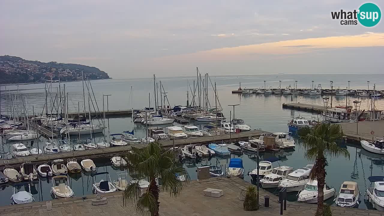 Webcam en vivo del Puerto de Koper – puerto de carga y cruceros – Eslovenia