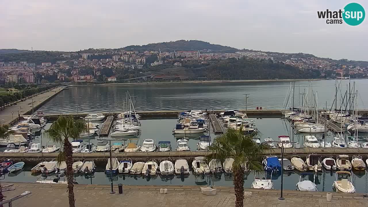 Webcam Koper – Panorama des Jachthafens und der Promenade vom Hotel Grand Koper