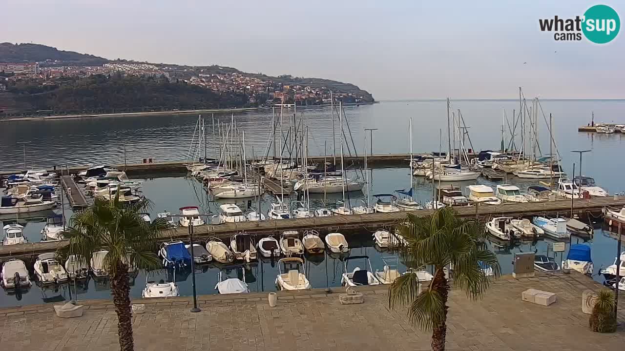 Il porto di Koper – Capodistria live webcam – porto crociere e mercantile – Slovenia