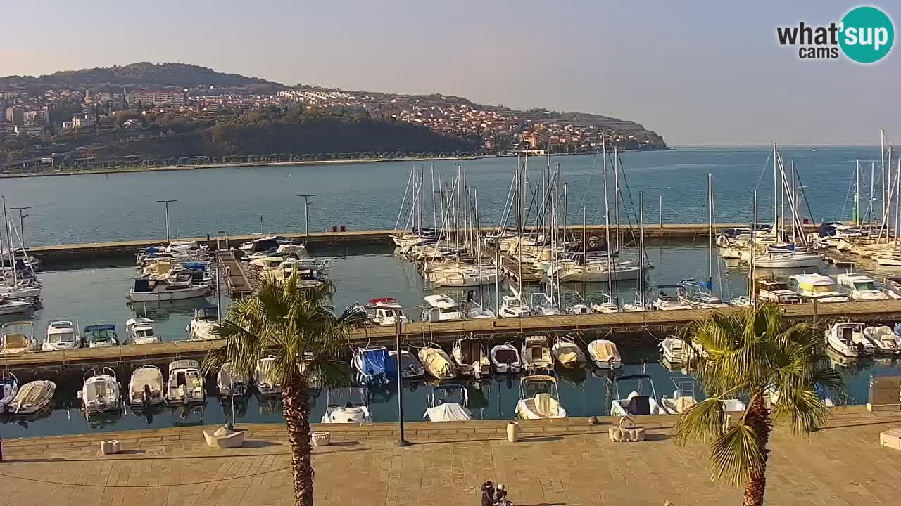 Spletna kamera Koper – Panorama na marino in promenado s Hotela Grand Koper