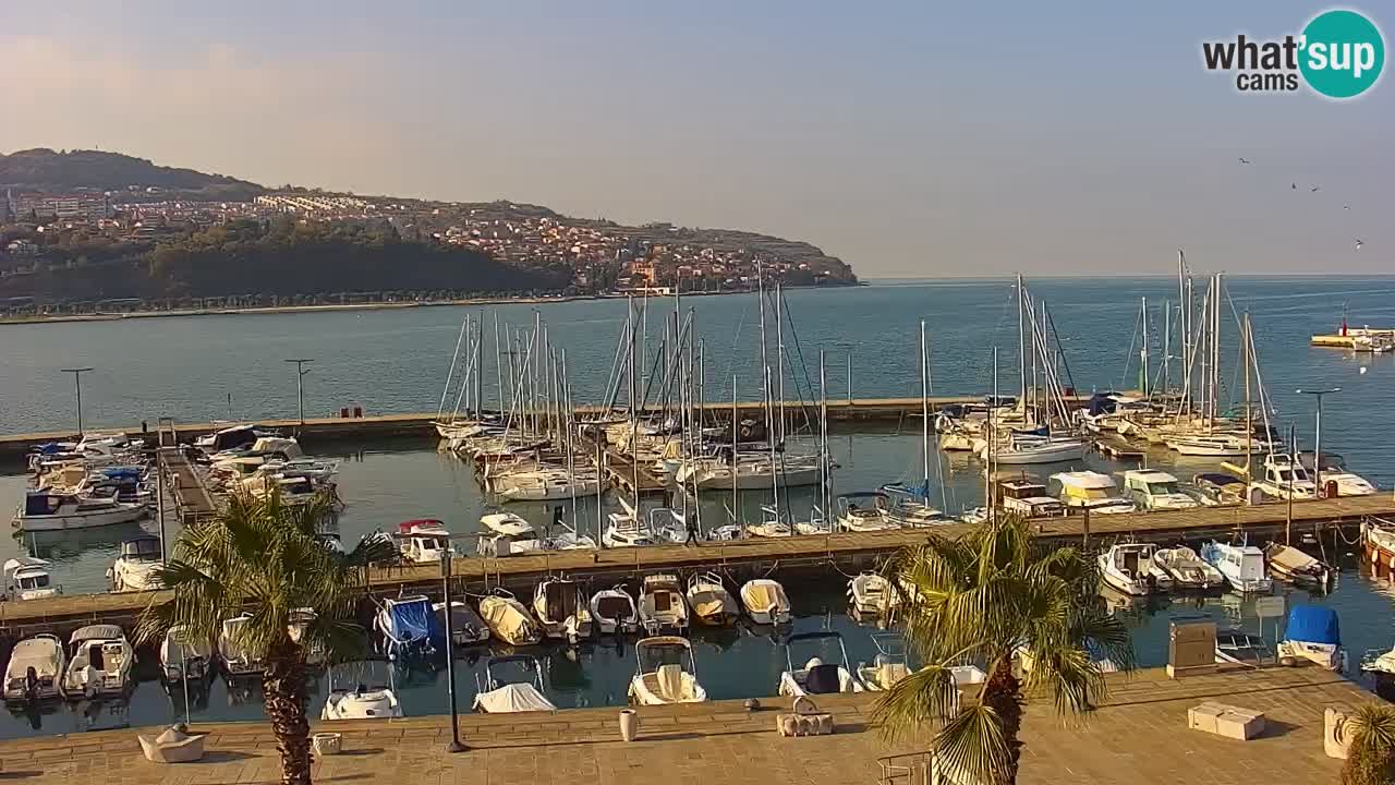 Camera en vivo Koper – puerto deportivo y paseo marítimo desde el Hotel Grand Koper